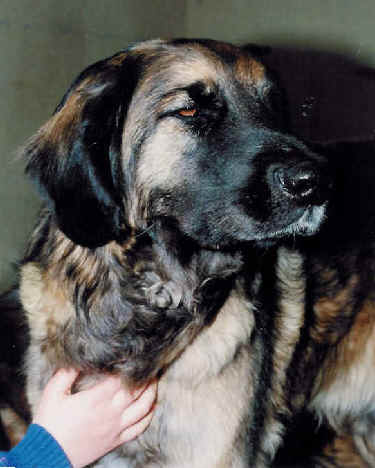 Jewel de la Citadelle D'Hermance