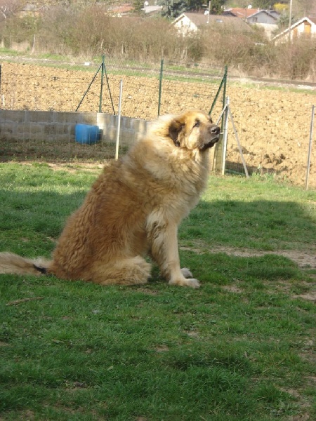 Azur de la Citadelle D'Hermance