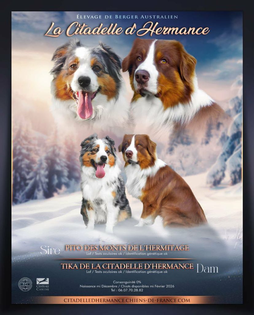 Tika de la Citadelle D'Hermance