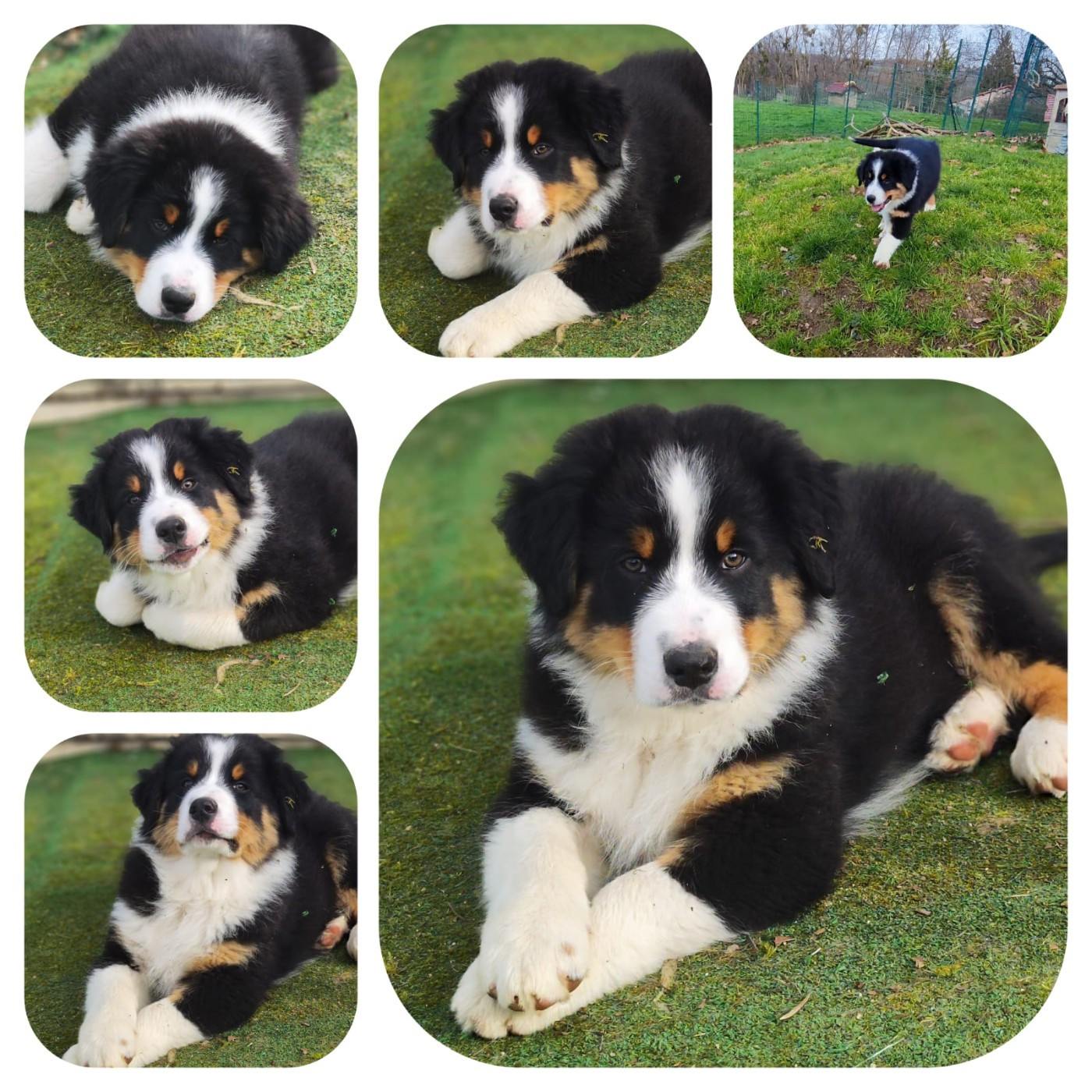 AUSTIN disponible à la réservation