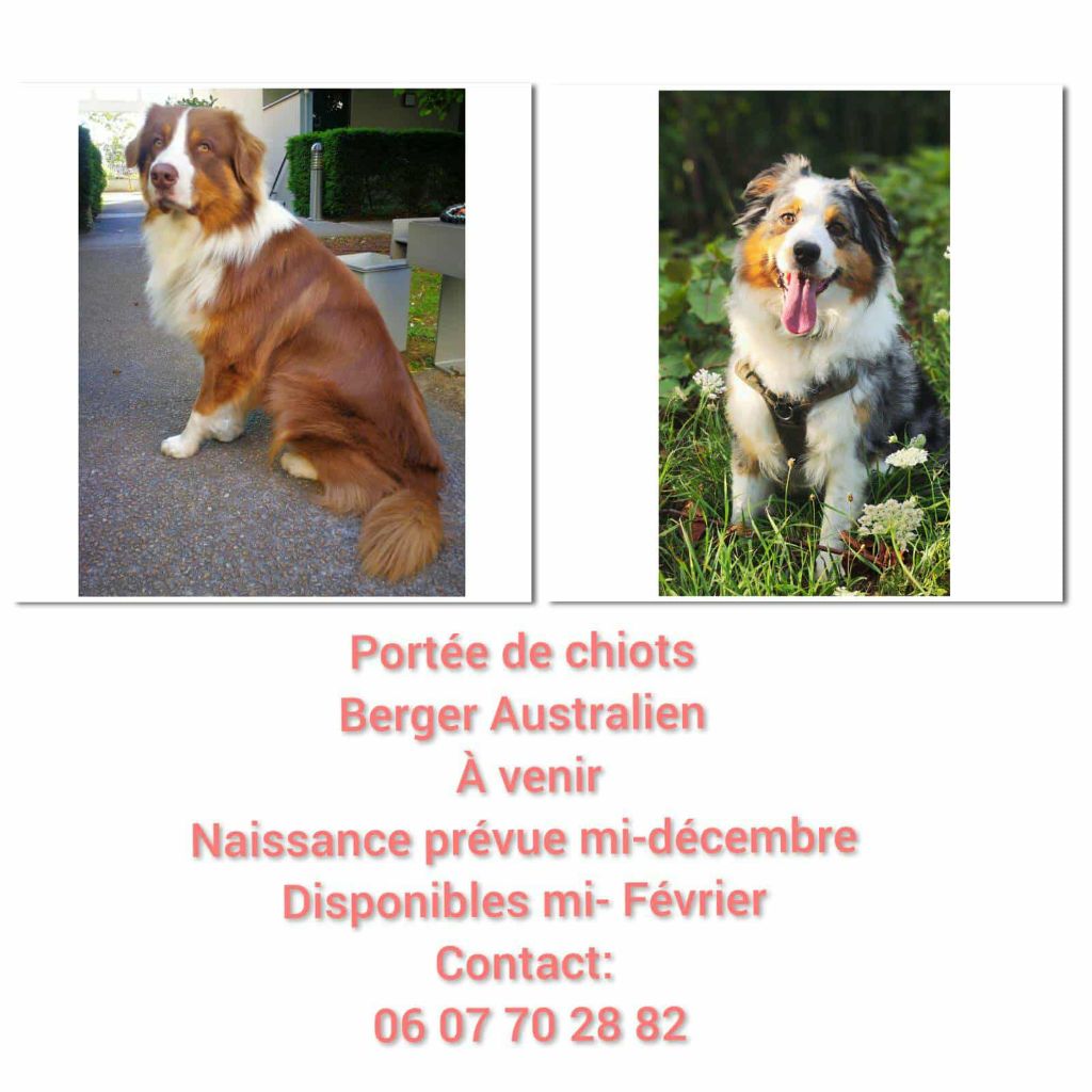 Bébés australiens attendus pour Décembre 